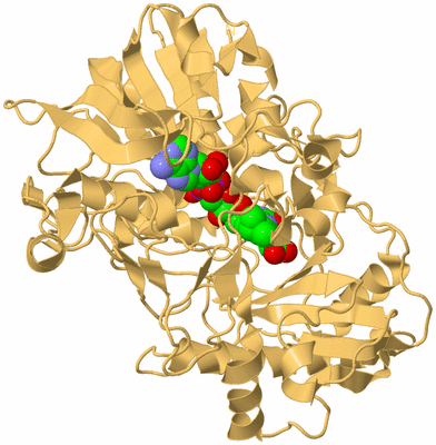 Image Biological Unit 7