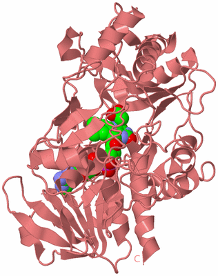 Image Biological Unit 8