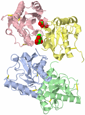 Image Asym./Biol. Unit