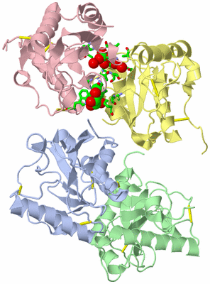 Image Asym./Biol. Unit - sites