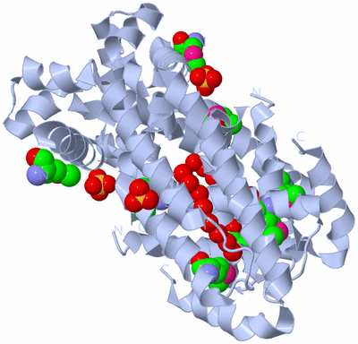 Image Biological Unit 1