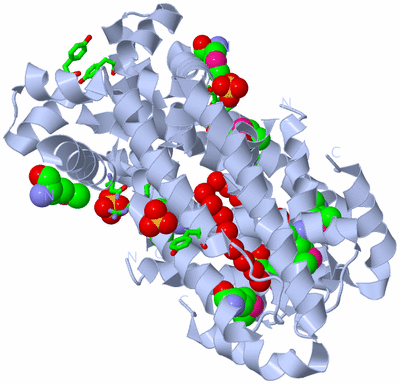 Image Biol. Unit 1 - sites