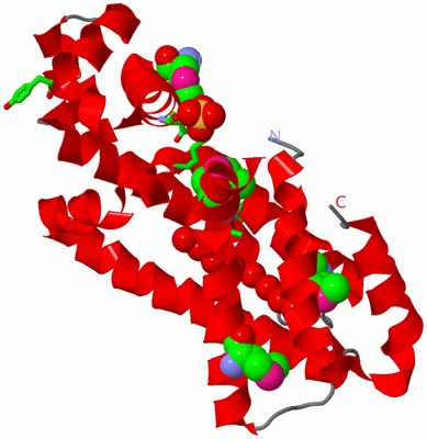 Image Asym. Unit - sites