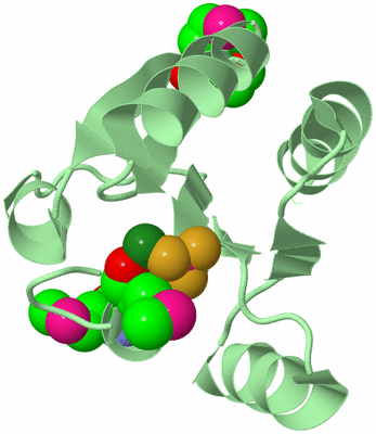 Image Biological Unit 3