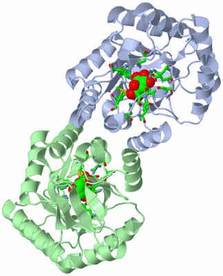 Image Asym./Biol. Unit - sites