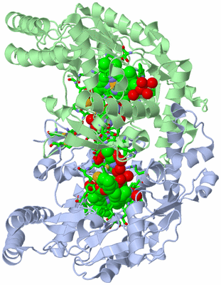 Image Asym./Biol. Unit - sites