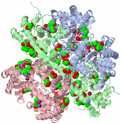 Image Biological Unit 1