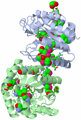 Image Biol. Unit 1 - sites