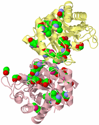 Image Biological Unit 2