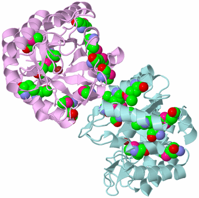 Image Biological Unit 3