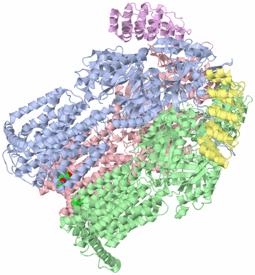 Image Asym./Biol. Unit