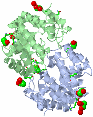 Image Asym./Biol. Unit - sites