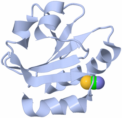 Image Biological Unit 1