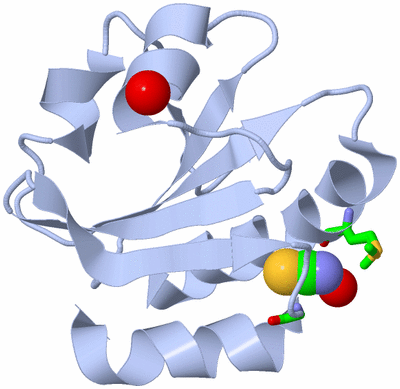 Image Biol. Unit 1 - sites