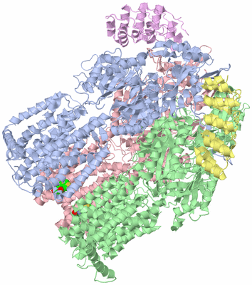 Image Asym./Biol. Unit