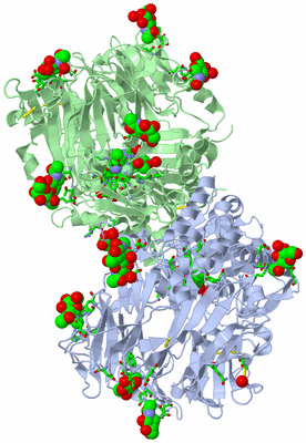 Image Asym./Biol. Unit - sites