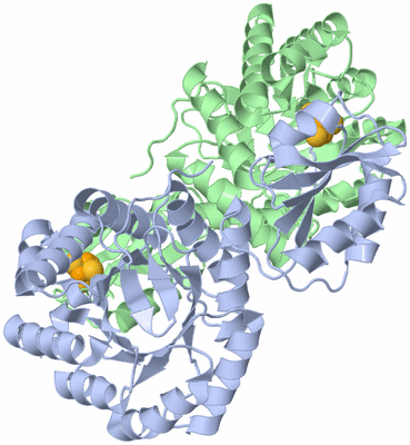 Image Biological Unit 1