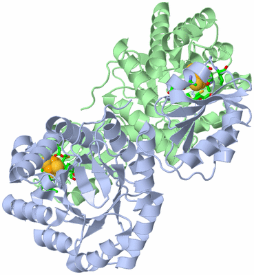 Image Biol. Unit 1 - sites