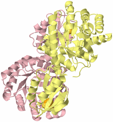 Image Biological Unit 2