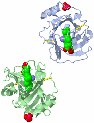 Image Asymmetric Unit