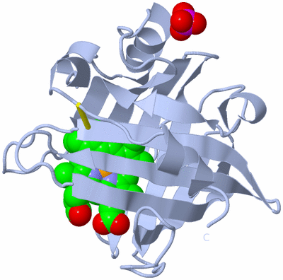 Image Biological Unit 1