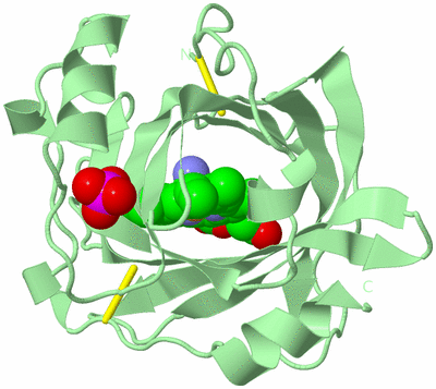 Image Biological Unit 2