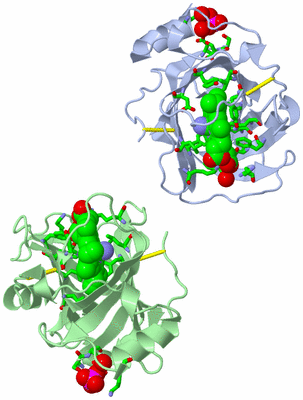 Image Asym. Unit - sites