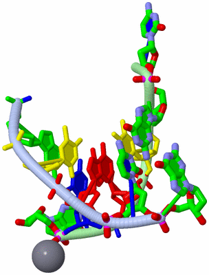 Image Biol. Unit 1 - sites