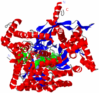 Image Asym. Unit - sites