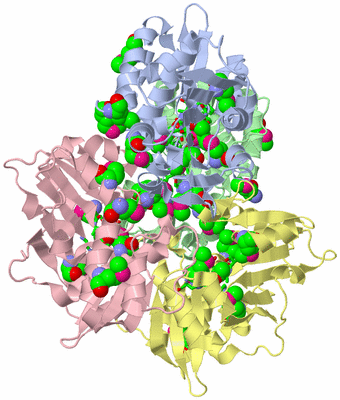 Image Asym./Biol. Unit - sites