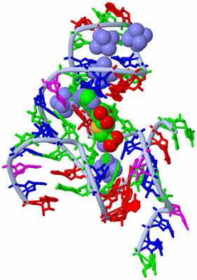 Image Biological Unit 1