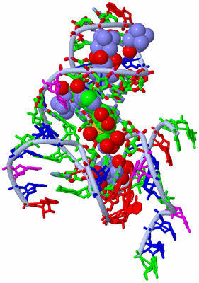 Image Biol. Unit 1 - sites