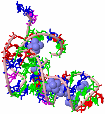 Image Biological Unit 3