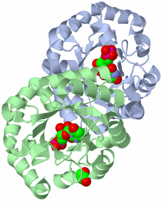 Image Asym./Biol. Unit