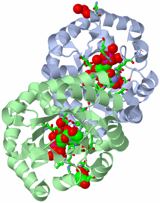 Image Asym./Biol. Unit - sites