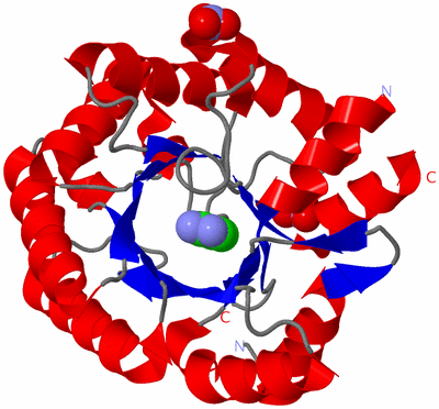 Image Asym./Biol. Unit