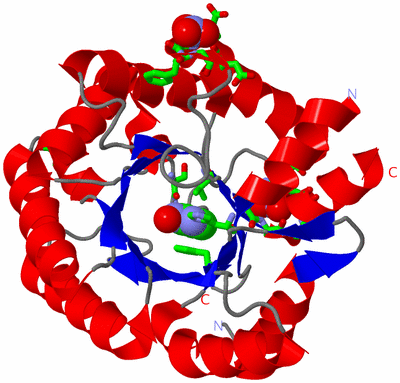 Image Asym./Biol. Unit - sites