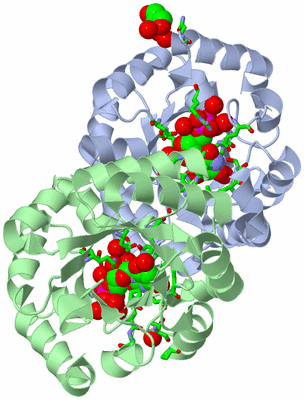 Image Asym./Biol. Unit - sites