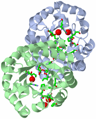 Image Biol. Unit 1 - sites