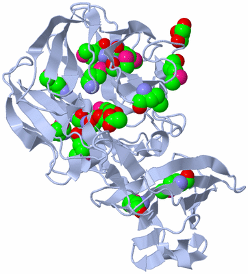 Image Biological Unit 1