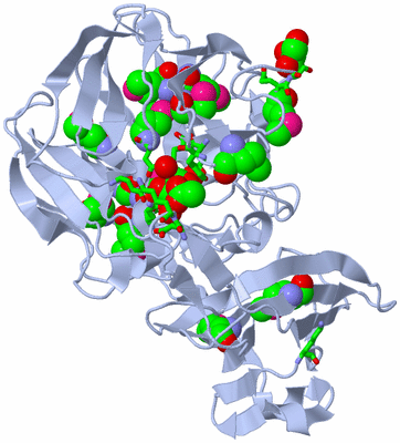 Image Biol. Unit 1 - sites