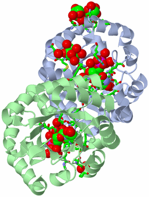 Image Asym. Unit - sites