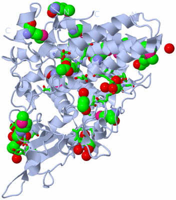 Image Biol. Unit 1 - sites