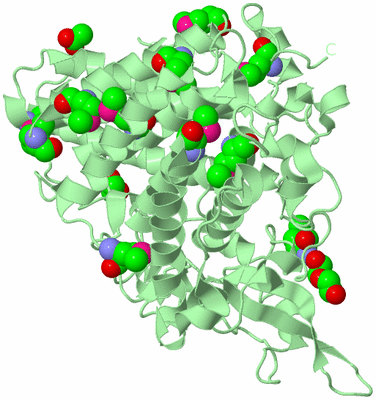 Image Biological Unit 2