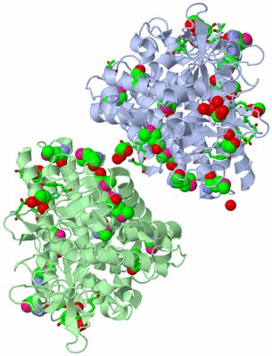 Image Asym. Unit - sites