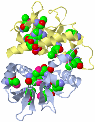 Image Biological Unit 1