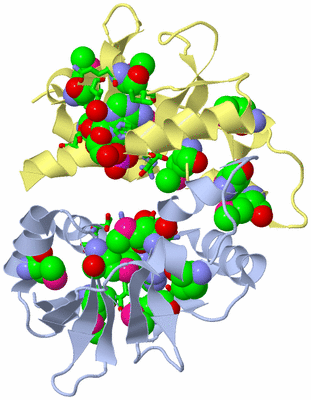 Image Biol. Unit 1 - sites