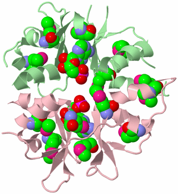 Image Biological Unit 2