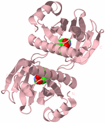 Image Biological Unit 2