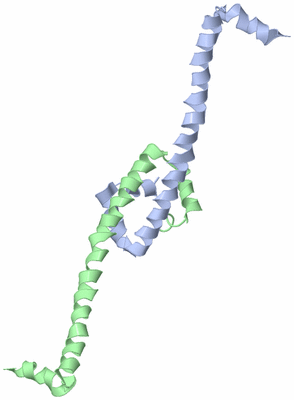 Image Asymmetric Unit